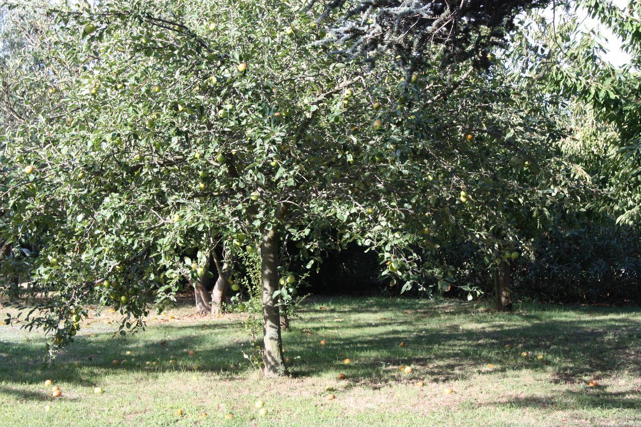 La Villa Blanc (Adults Only) Conques-sur-Orbiel Exterior photo